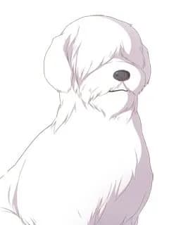 シュトラス