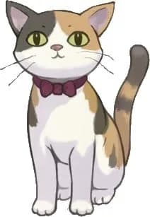 ワガハイ