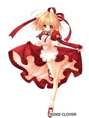 Stella Arista