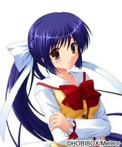 Tokugawain Misao