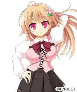 Sanjouin Miyaka