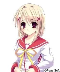 Fujimi Yukari