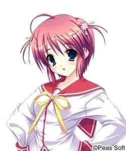 Hachizuka Koharu