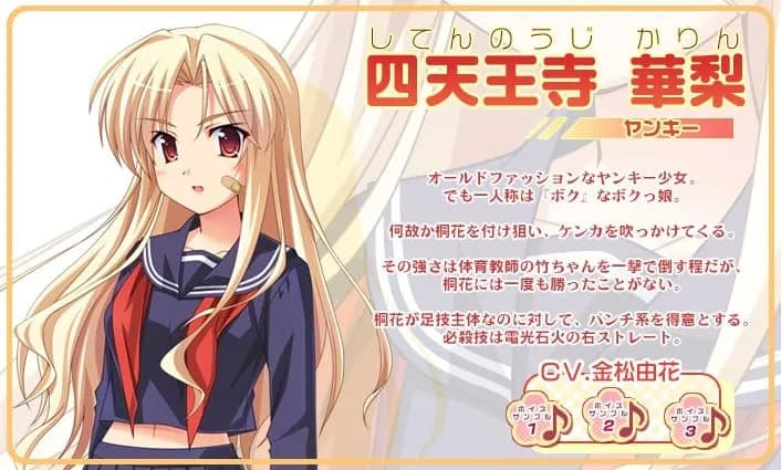 Shitennouji Karin
