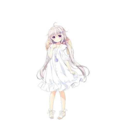 Shiroka
