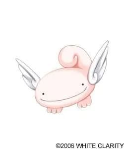 Puchi