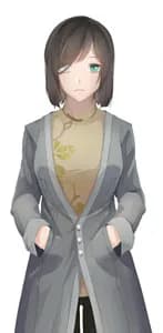 Liu Jin