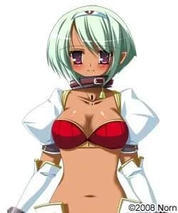 フィードリード