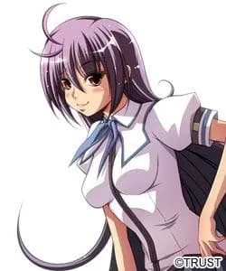 新島琴子