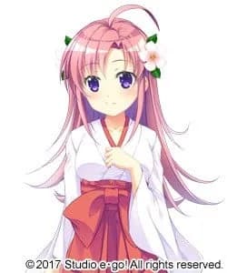 Amazumi Harune