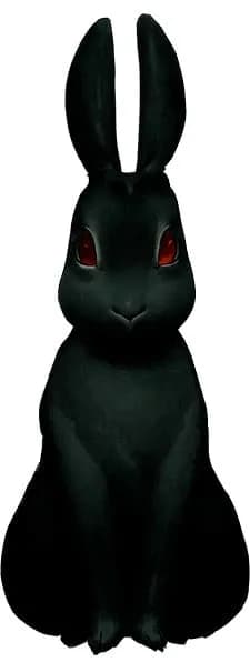 謎の黒いウサギ