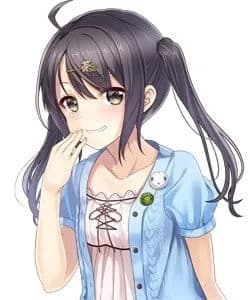 Yamanashi Mizuki