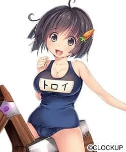 Toroi