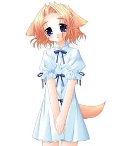 Sachi
