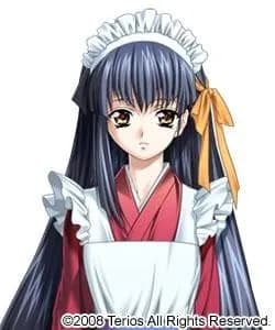 Kamiyama Tsubaki