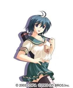 青樹沙羅