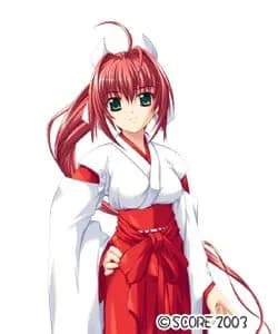Shinguu Akari