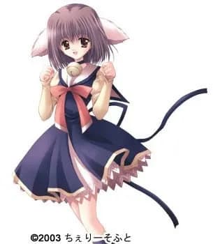 Nojima Mayuko