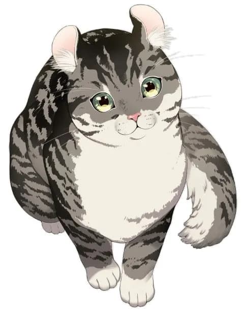 猫ちゃん