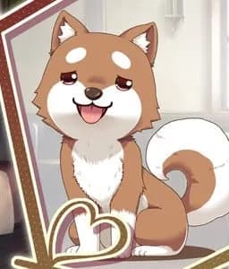 Pochizou
