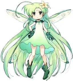 Echo