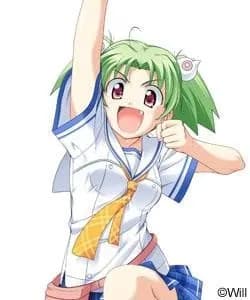 Hayama Hatoko