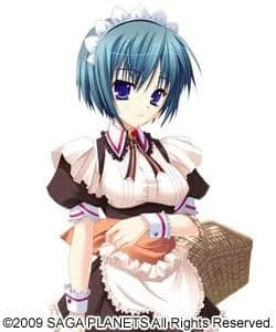 Aria