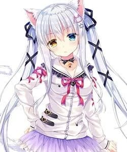 Nekokawa Shirone