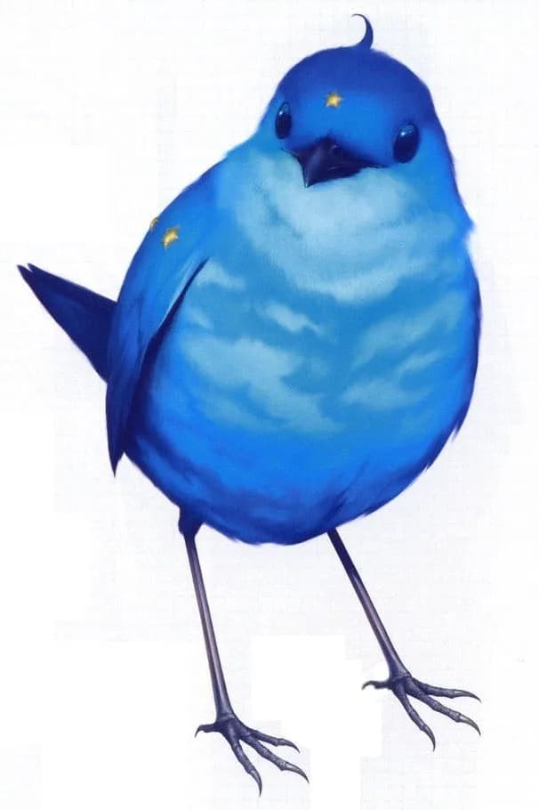 Robin