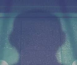 種崎捨