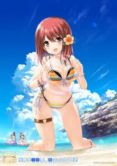 この大空に、翼をひろげて GIFT EDITION あげはVer