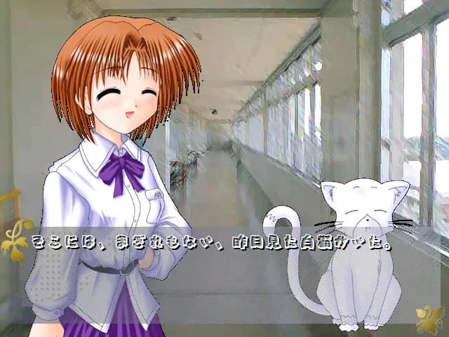 game/10088/image/fbfe4420-a2a4-4bd4-84b3-d35cecb0d368.webp