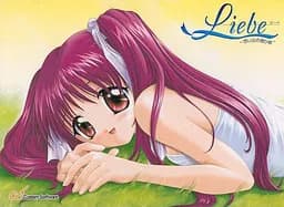 リーベ ～想い出の贈り物～