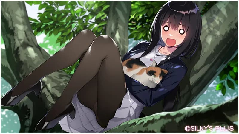 game/10817/image/adf96abb-b903-4662-9dff-a5ff19442dd1.webp