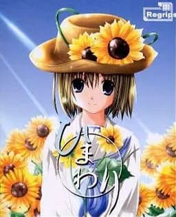 ひまわり