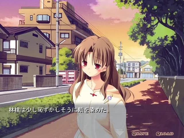 game/11088/image/00c45300-589d-4790-a897-fc006570765c.webp