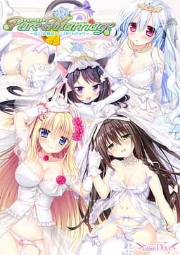 Pure Marriage ～赤い糸物語 ハーレム編～
