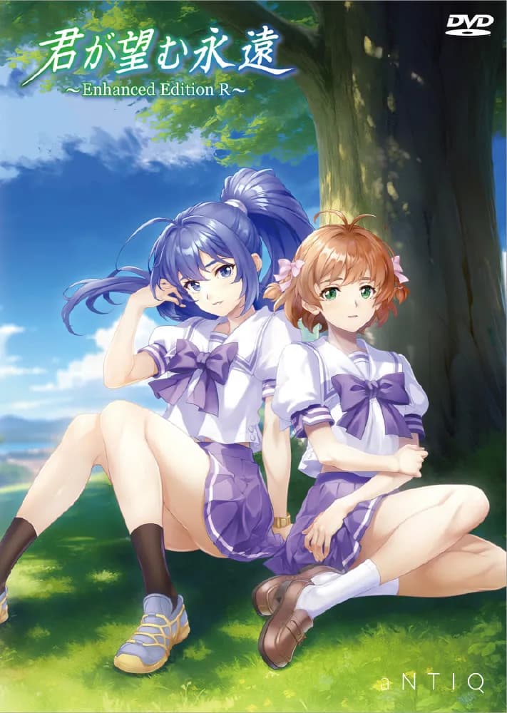 君が望む永遠