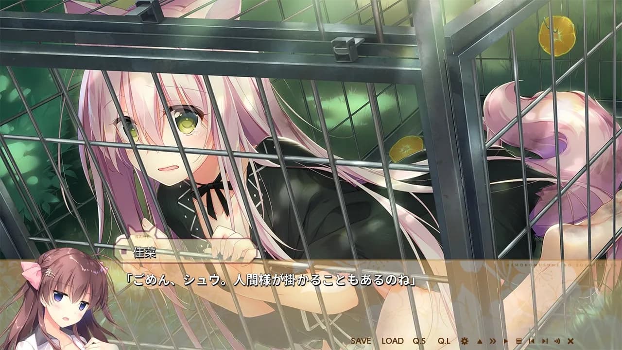 game/168/image/47e05a08-0323-49cd-9eea-4c90fbf7693c.webp
