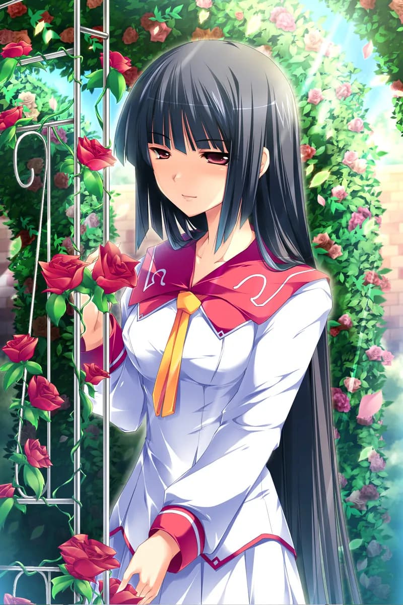 game/180/image/d75e45a0-676e-4905-9b14-7561499408f0.webp