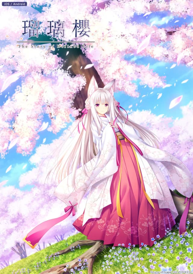 瑠璃櫻