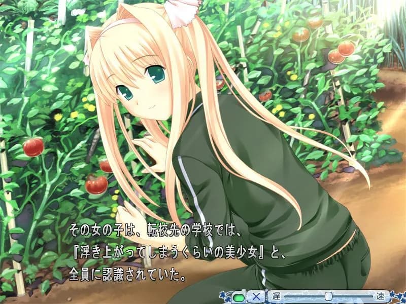 game/1992/image/5df856c9-f343-4f47-8db2-3ae794f3da53.webp