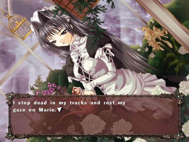 game/2025/image/32669577-6190-4a5a-b53d-85a28e70ec37.webp