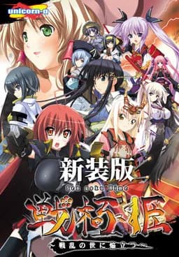 戦極姫 ～戦乱の世に焔立つ～