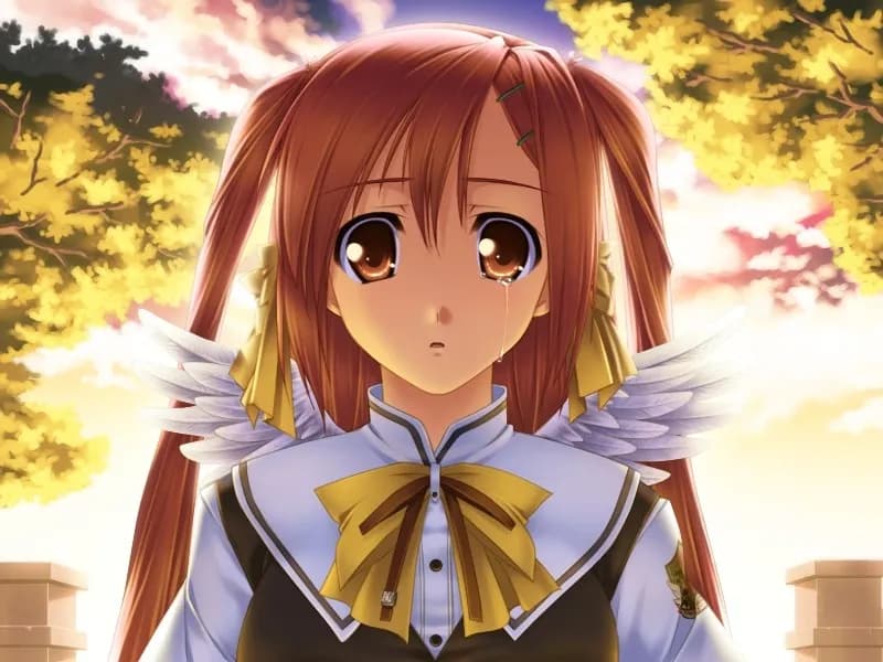 game/4589/image/5d91b8a3-da2d-4ed8-a359-2c009c5ebecb.webp