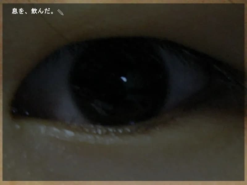 game/5088/image/9db77ed3-fb51-44e6-9e65-ce61de2b05d2.webp