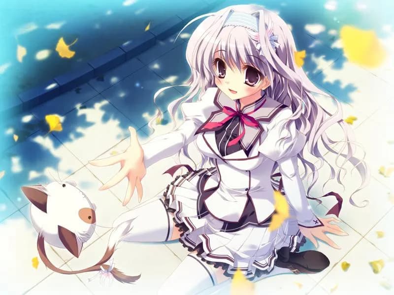 game/532/image/443d4de3-bfd8-41ad-a8da-eca05acad7c4.webp