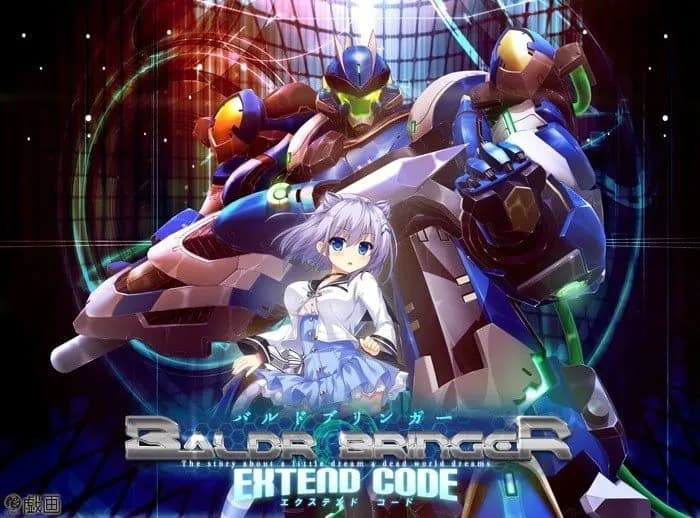 BALDR BRINGER EXTEND CODE