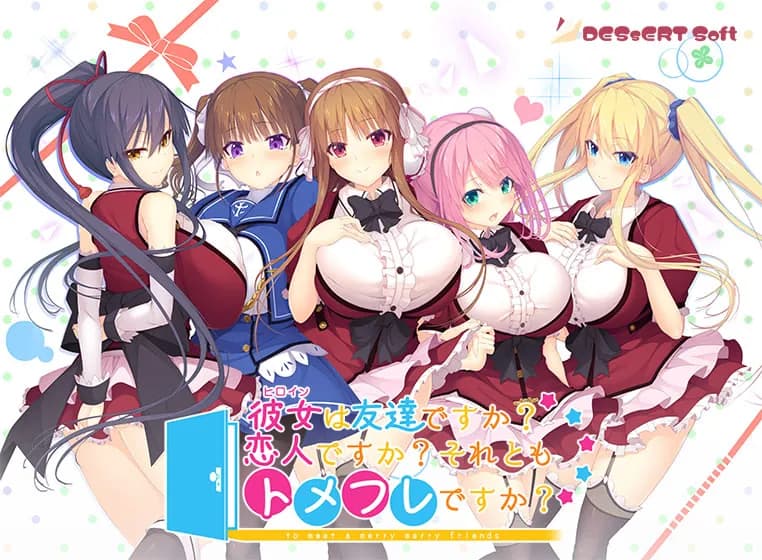 彼女(ヒロイン)は友達ですか？恋人ですか？それともトメフレですか？
