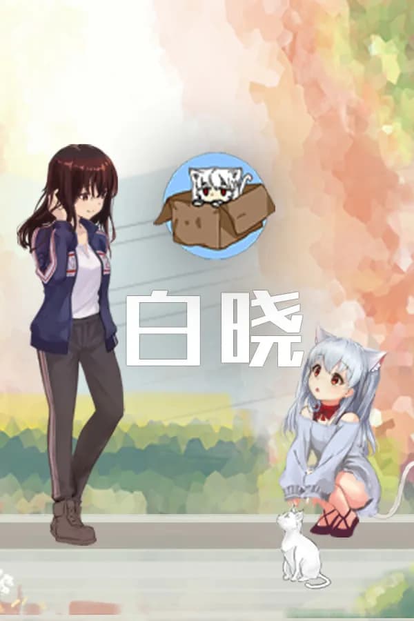白晓